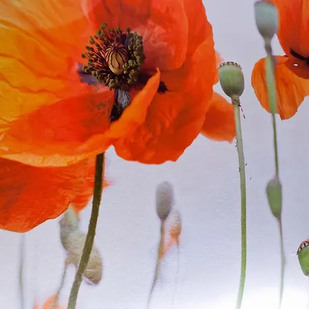 Hotel Western Crequi Part Dieu