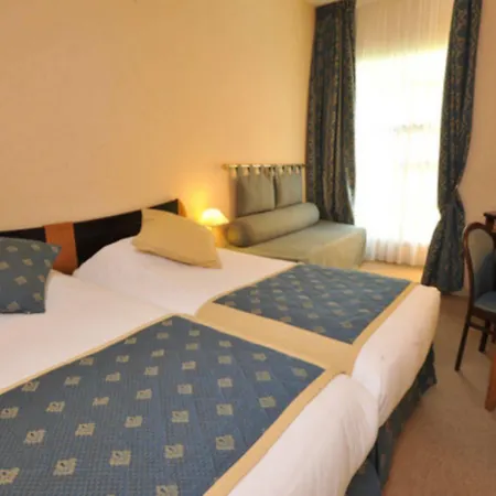 Otel Western Crequi Part Dieu 4*